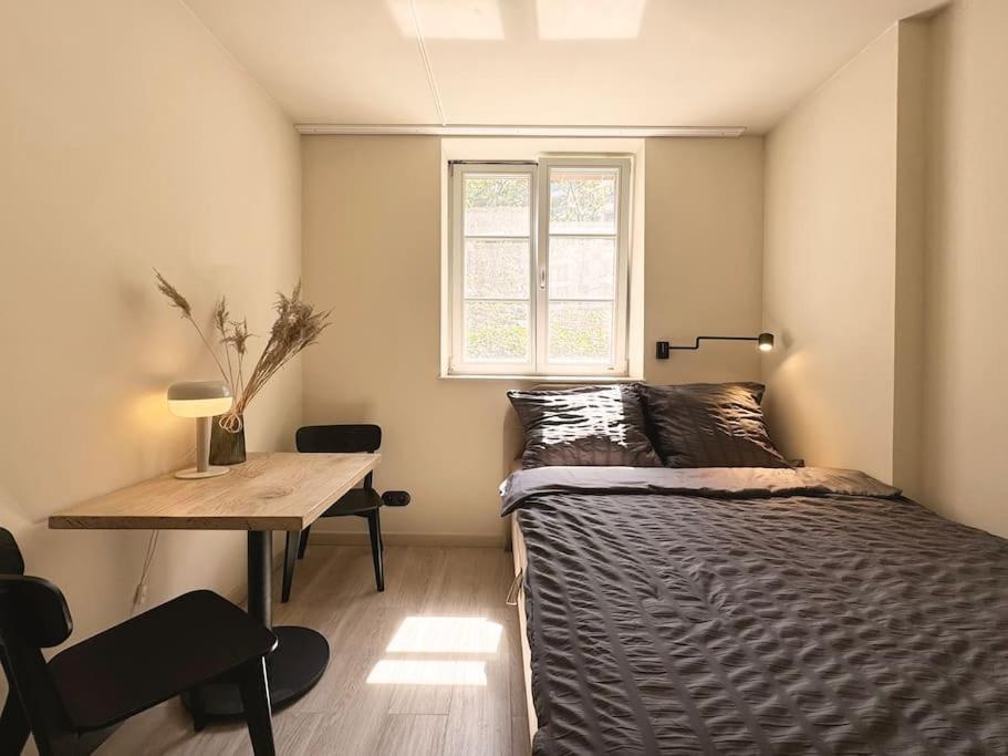 Natural Apartment In The City Center - Old Town Wroclaw Exterior photo